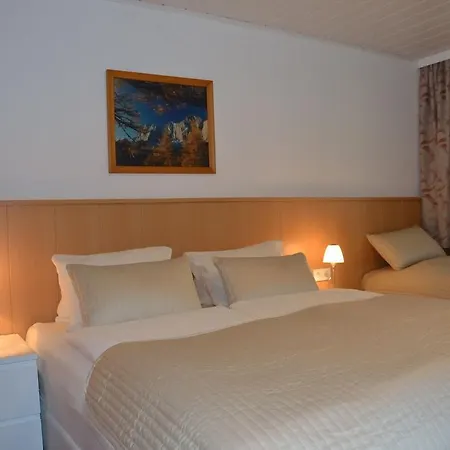 Apartmán Walcher *